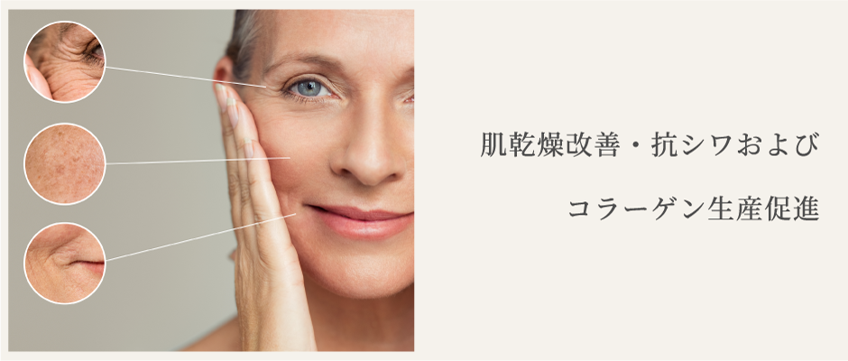 shiwa-top.png(364321 byte)