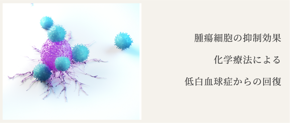 saibo-top.png(321154 byte)