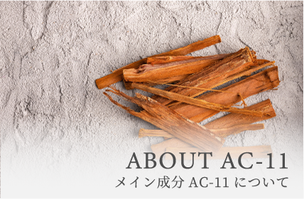 aac-11.png(169070 byte)