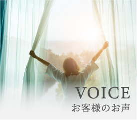 voic.png(123309 byte)